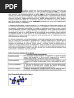 Fisiopatologia Lipidos