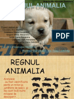 Regnul Animalia