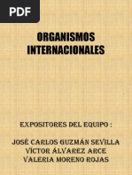 Exposicion Organismos Internacionales