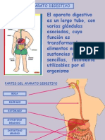 Aparato Digestivo 110309064536 Phpapp01