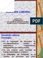 Demanda Laboral