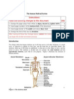 The Human Skeletal System