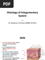 1st Lecture On The Histology of Skin by Dr. Roomi