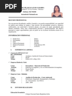 Curriculum Vitae Sandra Salazr Gamarra