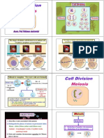 Meiosis
