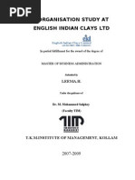 Organisation Study at English Indian Clays LTD