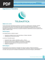 Ing Telematica