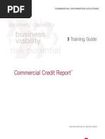 Sample Credit Report