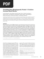 Circulating Bone Morphogenetic Protein 1-3 Isoform Increases Renal Fibrosis