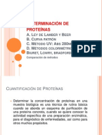 2d Determinacion de Proteinas