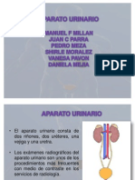 Riñones Radiologia