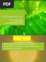 Fotosíntesis PPT Fases Luminosa y Oscura