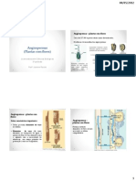 Filogenia Das Traqueofitas Angiospermas Agro IV