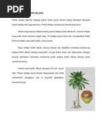 Kepentingan Pokok Kelapa