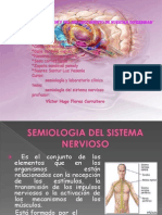 Semiologia Del Sistema Nervioso Trabajo