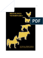 Histologia Veterinaria Juvenal