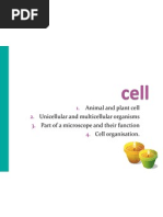 Animal and Plant Cell Unicellular and Multicellular Organisms Part of A Microscope and Their Function Cell Organisation