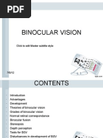 Binocular Vision: Click To Edit Master Subtitle Style