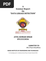 Data Leakage Detection