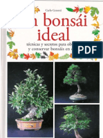 Gejw Un Bonsai Ideal