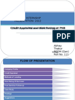 Credit Appraisal and Risk Rating at PNB