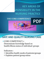 Core Competency Areas