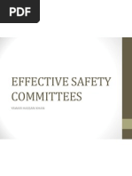 Effective Safety Committees