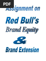 Red Bull's Brand Equity &amp Brand Extension