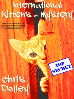 International Kittens of Mystery