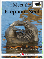 Meet the Elephant Seal: Educational Version