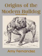 Origins of the Modern Bulldog (British Bulldog)