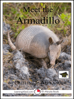 Meet the Armadillo: Educational Version