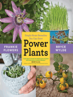 Power Plants: Simple Home Remedies You Can Grow