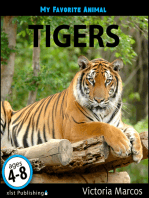 My Favorite Animal: Tigers