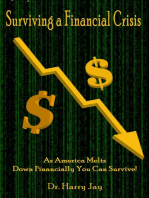 Surviving A Financial Crisis