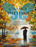 Chance Meetings: Stories About Cross-Cultural Karmic Collisions and Compassion