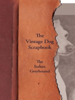 The Vintage Dog Scrapbook - The Italian Greyhound