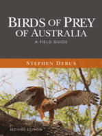 Birds of Prey of Australia: A Field Guide