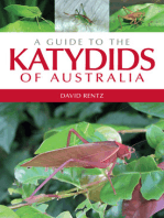 A Guide to the Katydids of Australia