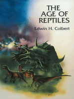 The Age of Reptiles