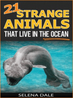 21 Strange Animals That Live In The Ocean: Weird & Wonderful Animals, #3