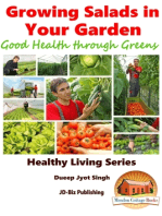 Growing Salads in Your Garden: Good Health through Greens