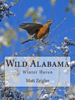 Wild Alabama: Winter Haven