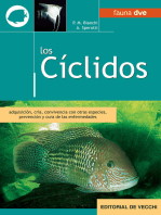 Los cíclidos