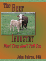 The Beef Industry: What They Don't Tell You