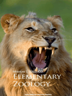 Elementary Zoology