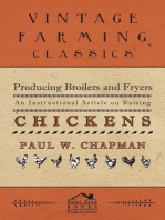 Producing Broilers and Fryers - An Instructional Article on Raising Chickens