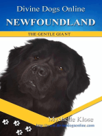 Newfoundland