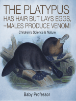 The Platypus Has Hair but Lays Eggs, and Males Produce Venom! | Children's Science & Nature