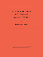 Generalized Feynman Amplitudes